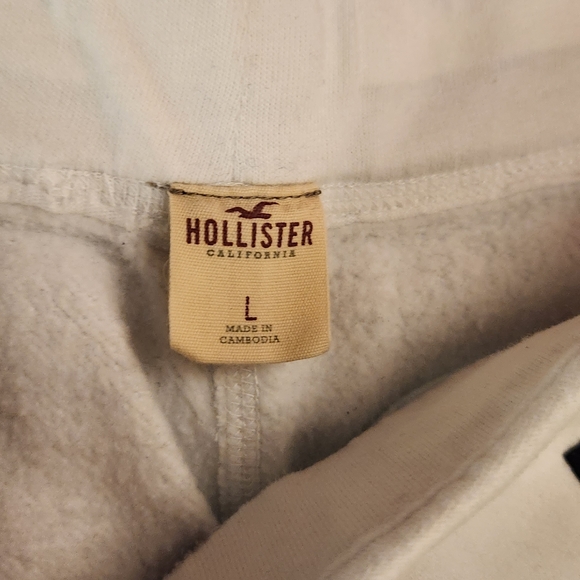 Men's LG Hollister shorts - Picture 4 of 4